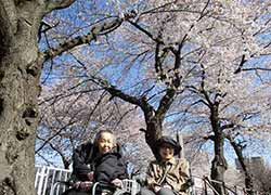 ＡＬＳＯＫケアホームさいたま与野公園のホームの様子
